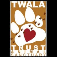 the-twala-trust