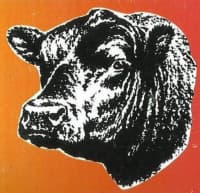 Billy’s Meats – Top Quality