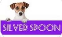 Silver Spoon