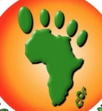 AEC Group Of Companies