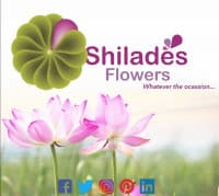 Shilades Flowers
