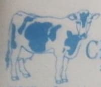 Chem Web Investments