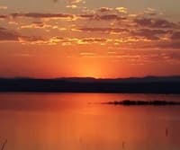 Rusteak Lakeside Cottages