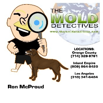 mold-detective