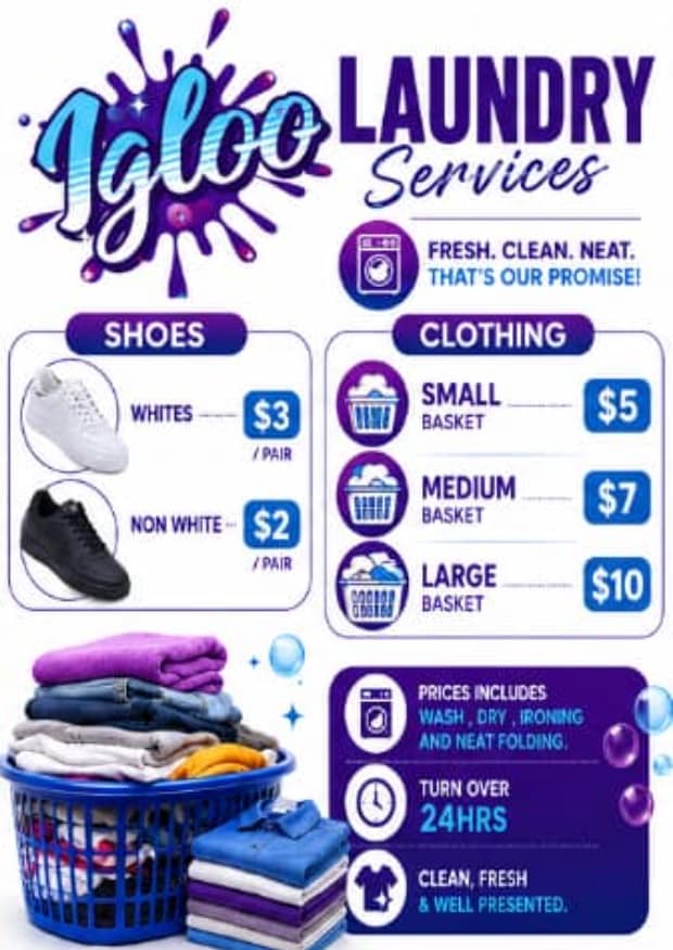 Igloo Laundry Services