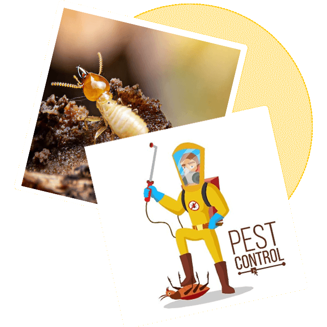Sorna Valli Pest Control
