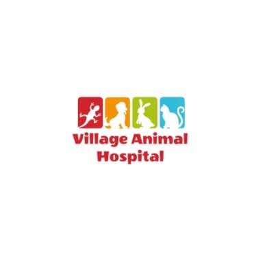 Village Animal Hospital
