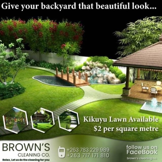 Brown Cleaning Services