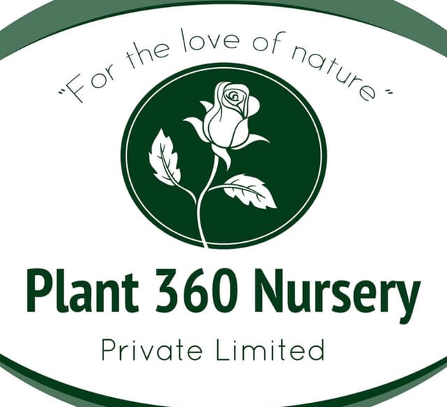 Plants 360 Nursery