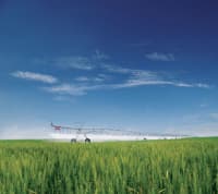 Waterwright Irrigation