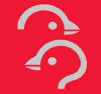 Charles Stewart Day Old Chicks