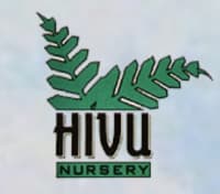 Hivu Nursery