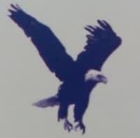 Mr Fixit – Petros the Greek