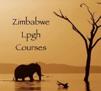 Zimbabwe Lphp Courses
