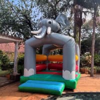 The Backyard Bouncers and Party Co