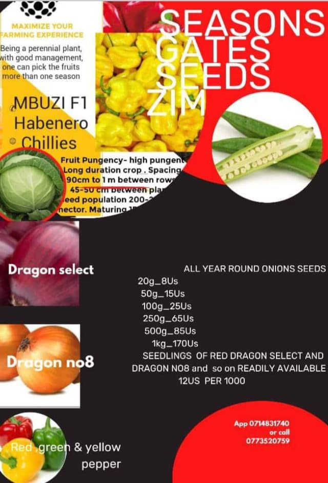 Season gates seeds Zimbabwe