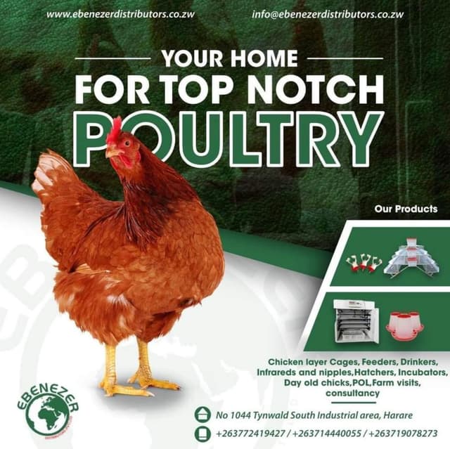 Ebenezer Distributors