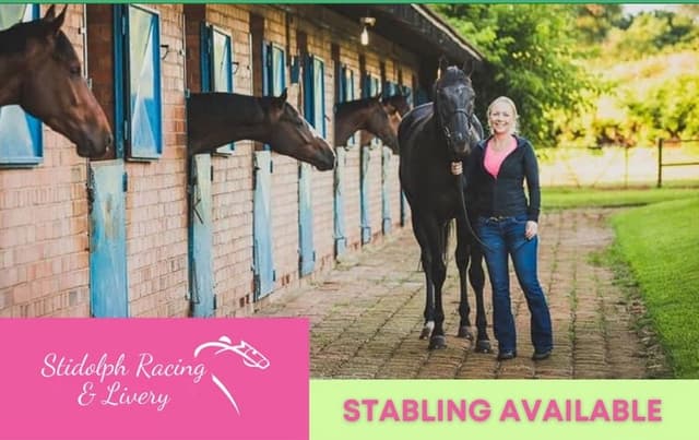 Stidolph Racing & Livery