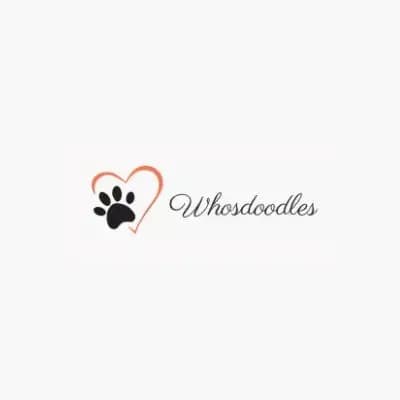 WhosDoodles