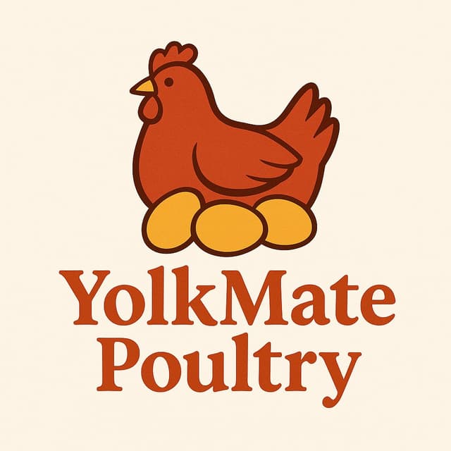 Yolk Matepoultry